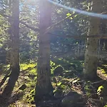 3 Avec Vue Imprenable Et Chalet