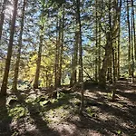 3 Avec Vue Imprenable Et Chalet *
