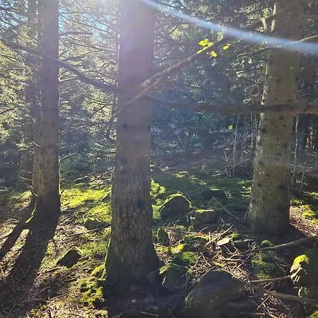 3 Avec Vue Imprenable Et Alpstuga