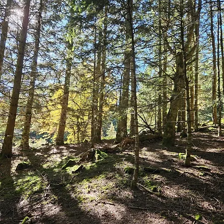 3 Avec Vue Imprenable Et Alpstuga *