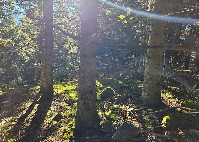 3 Avec Vue Imprenable Et Alpesi faház