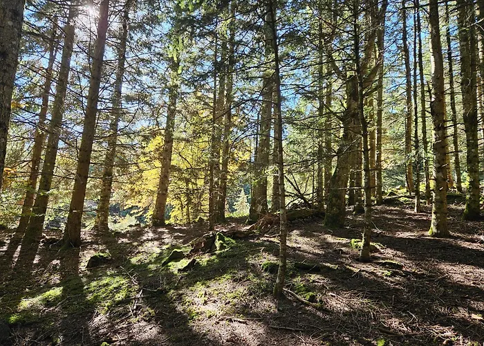 3 Avec Vue Imprenable Et Alpesi faház *